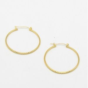 Gold Hoop Earrings